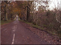 NO6171 : Road to Inch of Arnhall from the B966 by Dominic Dawn Harry and Jacob Paterson