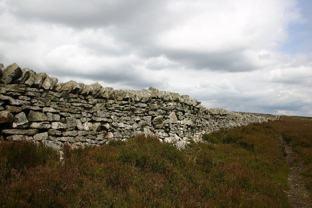 Wall on Bulbeck Common