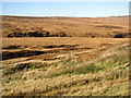 Redbrook Clough from the A62, Marsden