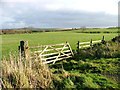 NZ7011 : Gate and Pasture, Gerrick Moor by Mick Garratt