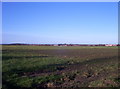 Farmland at New York