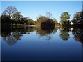 Ellerbeck Fish Farm