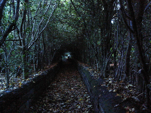 Dark lane near Rawdon