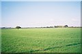 Flat east Berkshire farmland