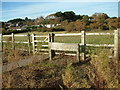 Luscombe Valley Local Nature Reserve