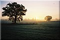 Misty dawn, Maidenhead Thicket