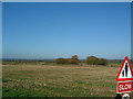 SJ5830 : Fields surrounding Hawkstone Park Farm by Steve McShane