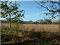 The Downs from Aston Tirrold