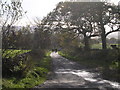 Gartmore Road leading towards Drymen