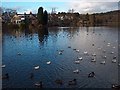 Tannoch Loch, Milngavie