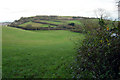 Valley below Guzzle Down, Brixham