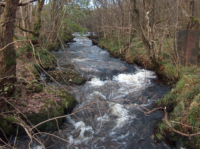 Allander Water, Mugdock Wood, Nr. Milngavie