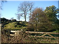 Streambed and hillocks, Lorbottle burn, Lorbottle