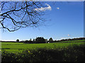 TL6502 : Dawes Farm, near Margaretting, Essex by John Winfield