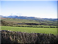 Acre Walls Farmland