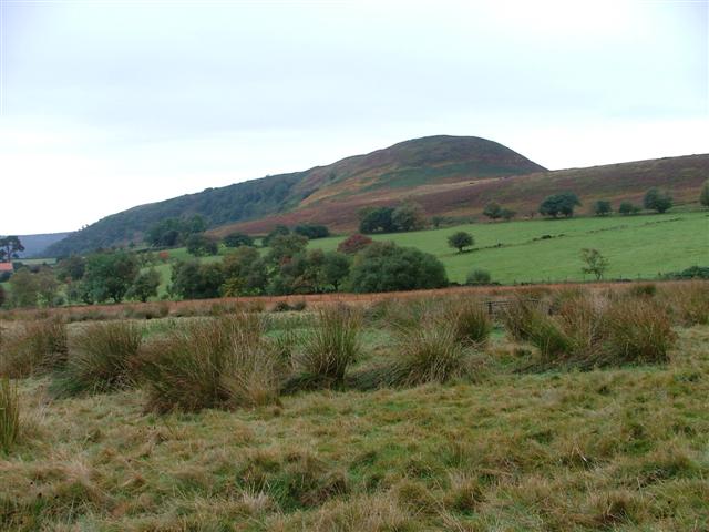 Hawnby Hill From the Moor at Sunley Slack