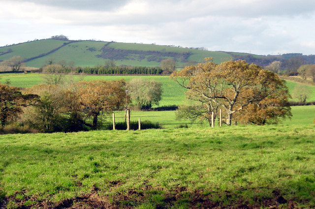 Farmland near Waddeton