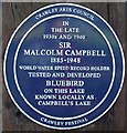 TQ2734 : Plaque Commemorating Malcolm Campbell, Tilgate Lake (Campbell's Lake), Tilgate Park, Crawley by Pete Chapman