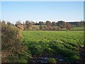 Froxmere Court and Bow Wood