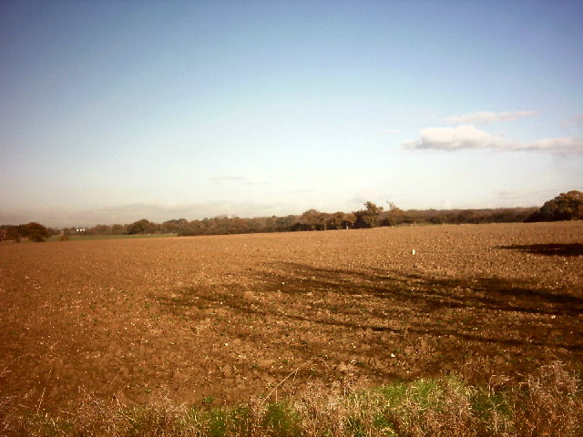Newly sown field in November