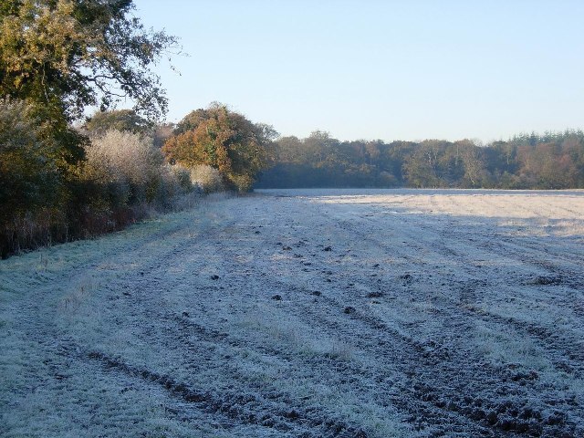 Frosty Field