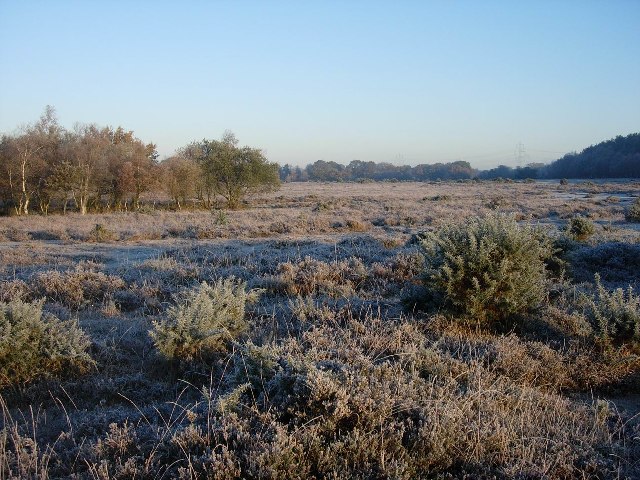 Frosty Heath
