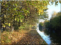 SD8811 : Rochdale Canal near Castleton by michael ely
