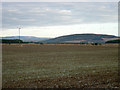 Farmland between West Happas and North Happas