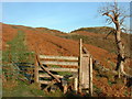 Stile Drove Road Sourfoot Fell