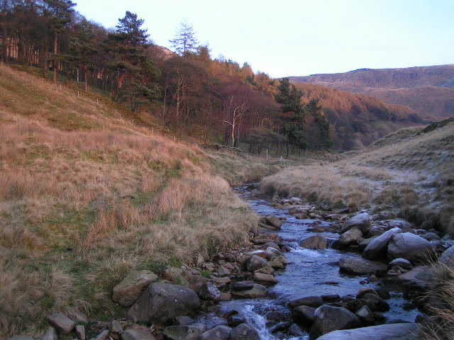 Peter Nook Wood and the River Kinder © Dave Dunford cc-by-sa/2.0 ::  Geograph Britain and Ireland