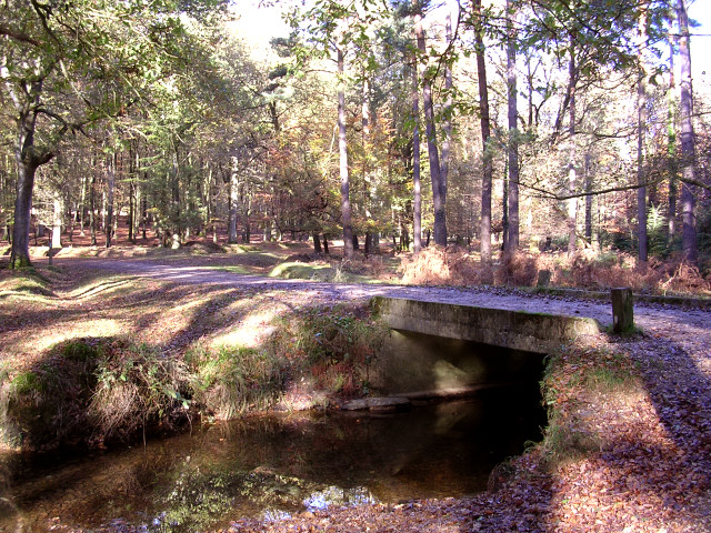 Bridge over Latchmoor Brook, Islands... © Jim Champion :: Geograph ...