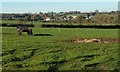 Towards Ben Ash Farm, Walton