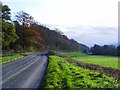 Near Leigh Cross - South Devon