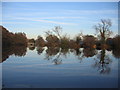 SP1074 : Earlswood Lakes - Terry's Pool. by David Stowell