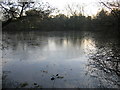 SP1073 : Earlswood Lakes - Terry's Pool. by David Stowell