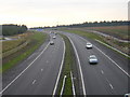 M77 Near Floak