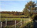 Queendown Warren from Cradles Road