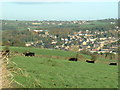 across farmland towards Battyeford