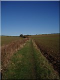 TL0253 : Bridleway towards Twinwood farm by Oliver White