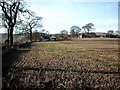 Cottages near Lundie