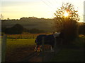 Sunset over Yew Hill