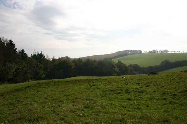 Along the edge of South Wood, near Heasley Mill