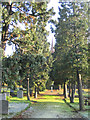 Graveyard, Great Warley, Essex