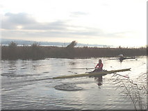 SX9687 : Scullers on Exeter Canal by David Hawgood