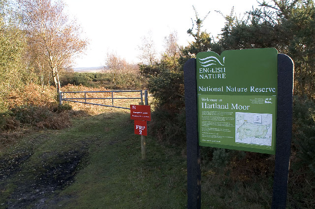 Hartland Moor NNR, Dorset © John Lamper :: Geograph Britain and Ireland