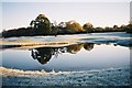 Frost and reflections, Hennerton Golf Club