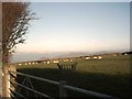 Farmland near Ettiford Farm