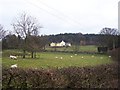 Kirkton Farm