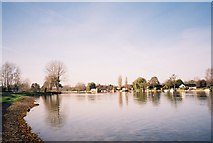 SU8887 : River Thames - west of Bourne End by Andrew Smith