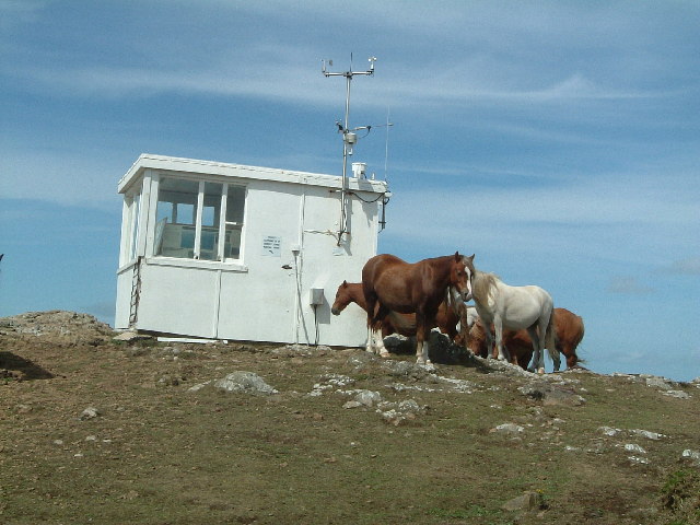 Coastguard Lookout, Martin's Haven with horses